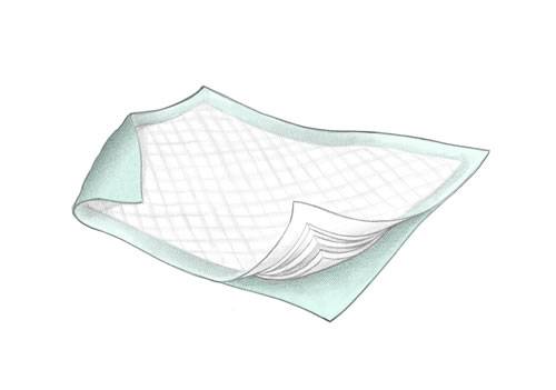 Kendall Durasorb Underpads 300/cs<p><a href="images/green.pngtitle="In Stock & Ready for immediate shipping."></a><img src="images/green.png" alt="In Stock & Ready for immediate shipping." title="In Stock & Ready for immediate shipping." width="227" height="50" /></p>